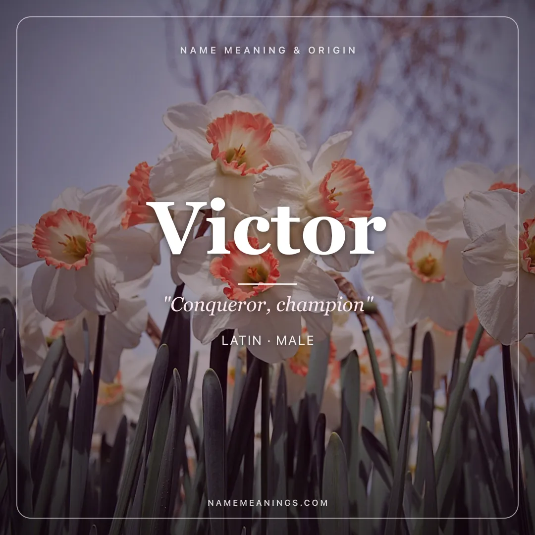Victor name meaning "Conqueror, champion" - Latin male name share card | NameMeanings