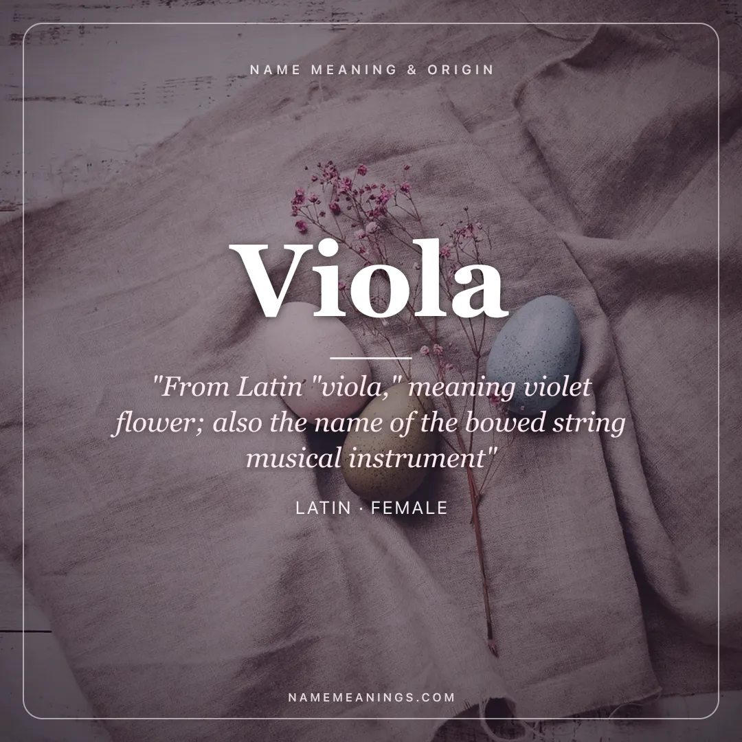 Viola name meaning "From Latin "viola," meaning violet flower; also the name of the bowed string musical instrument" - Latin female name share card | NameMeanings