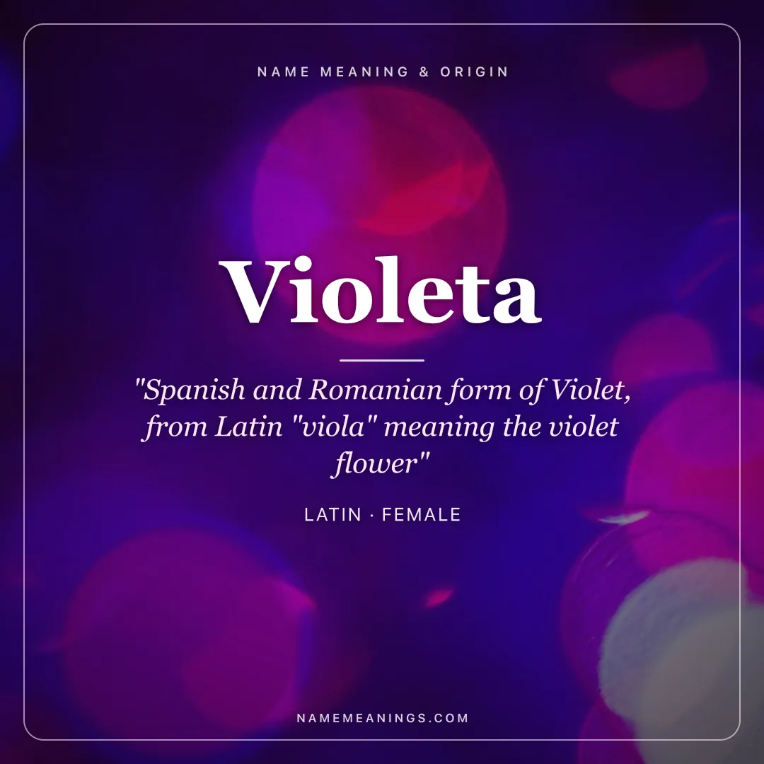 Violeta name meaning "Spanish and Romanian form of Violet, from Latin "viola" meaning the violet flower" - Latin female name share card | NameMeanings