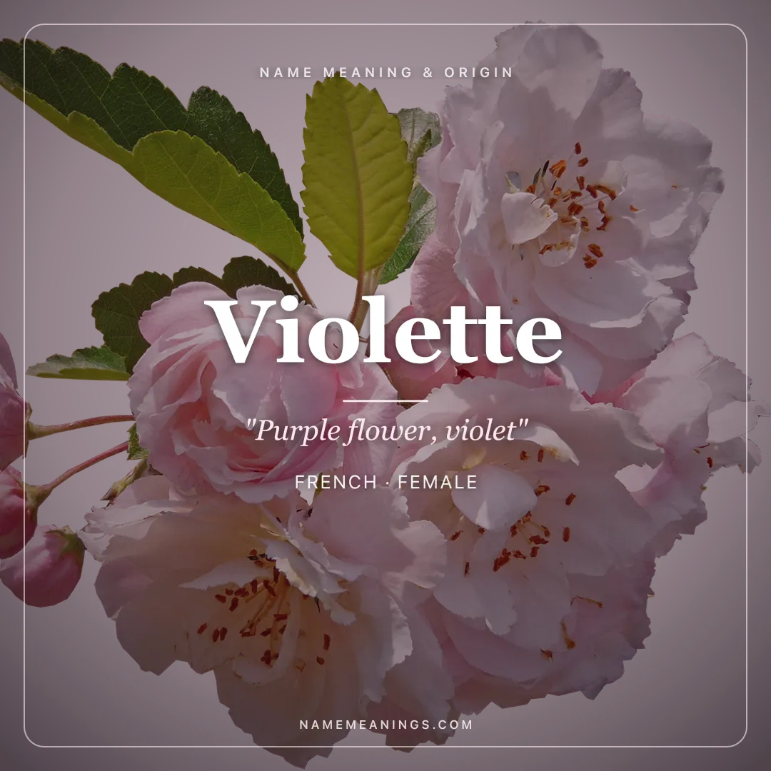 Violette name meaning "Purple flower, violet" - French female name share card | NameMeanings