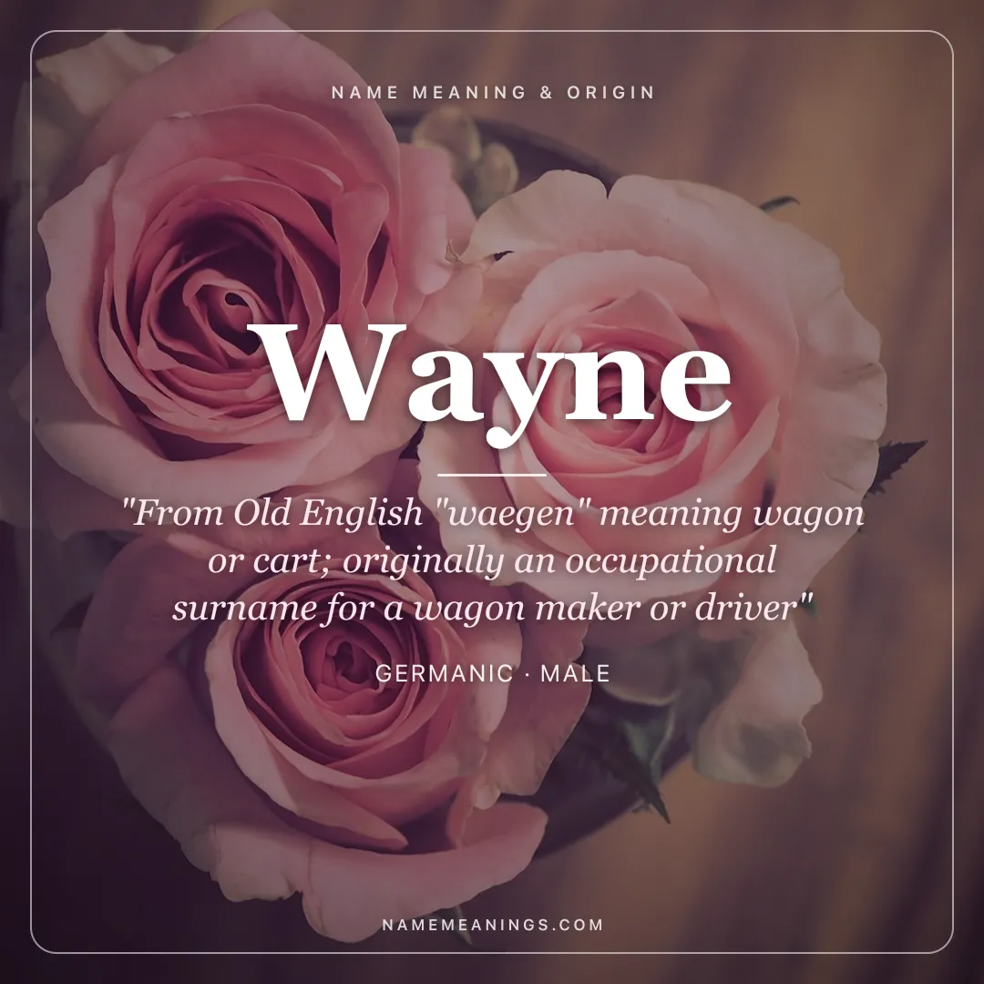 Wayne name meaning "From Old English "waegen" meaning wagon or cart; originally an occupational surname for a wagon maker or driver" - Germanic male name share card | NameMeanings