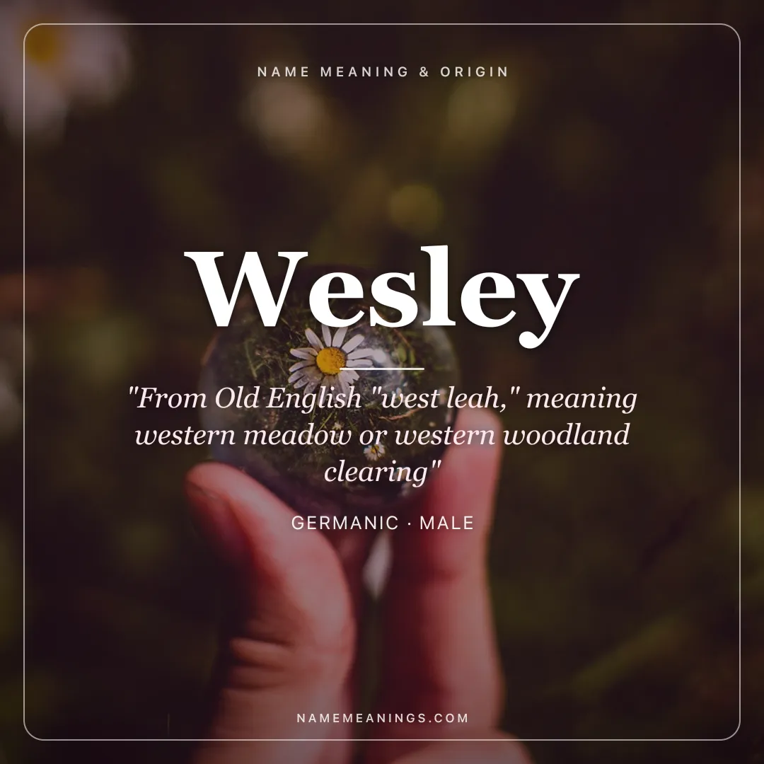 Wesley name meaning "From Old English "west leah," meaning western meadow or western woodland clearing" - Germanic male name share card | NameMeanings