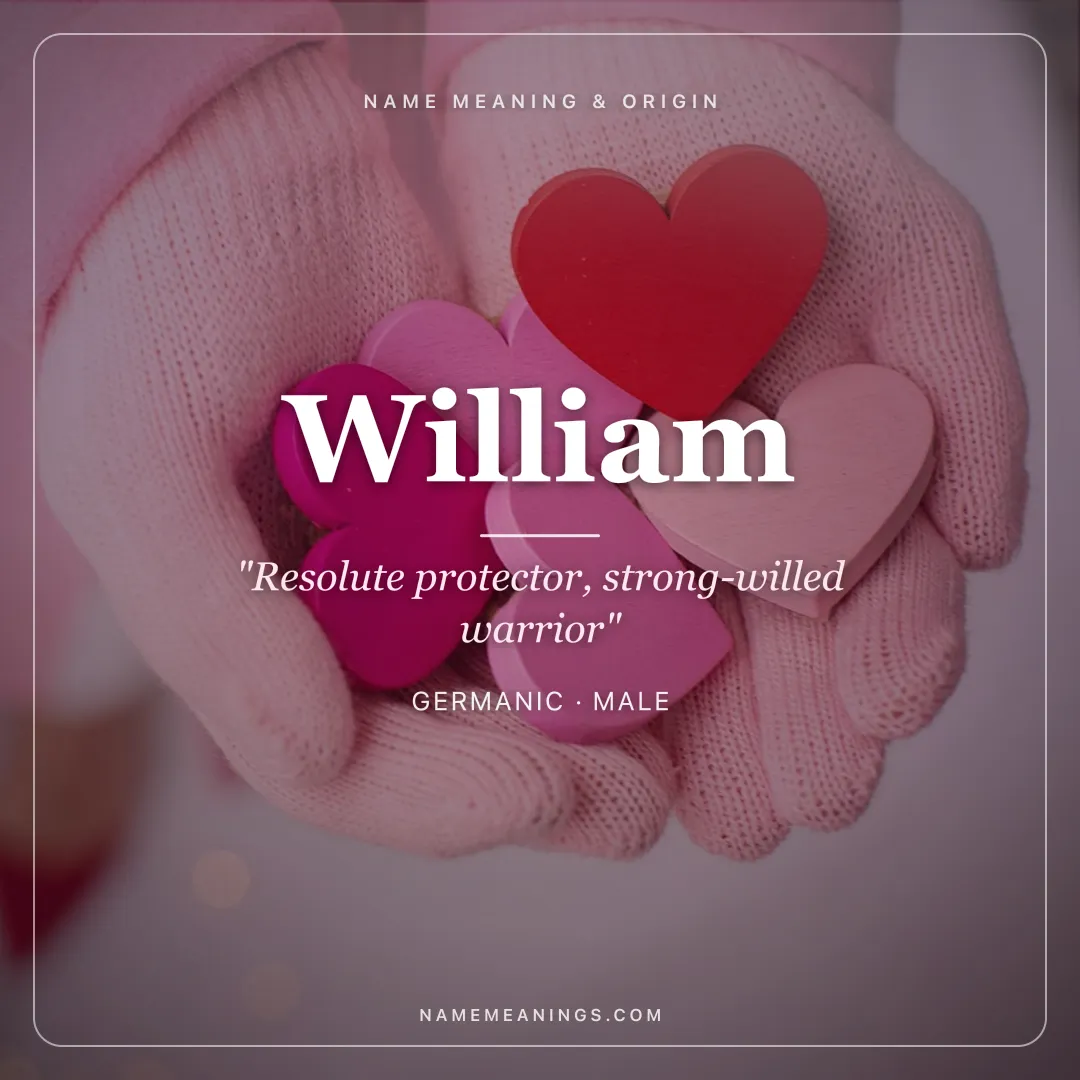 William name meaning "Resolute protector, strong-willed warrior" - Germanic, Old French male name share card | NameMeanings