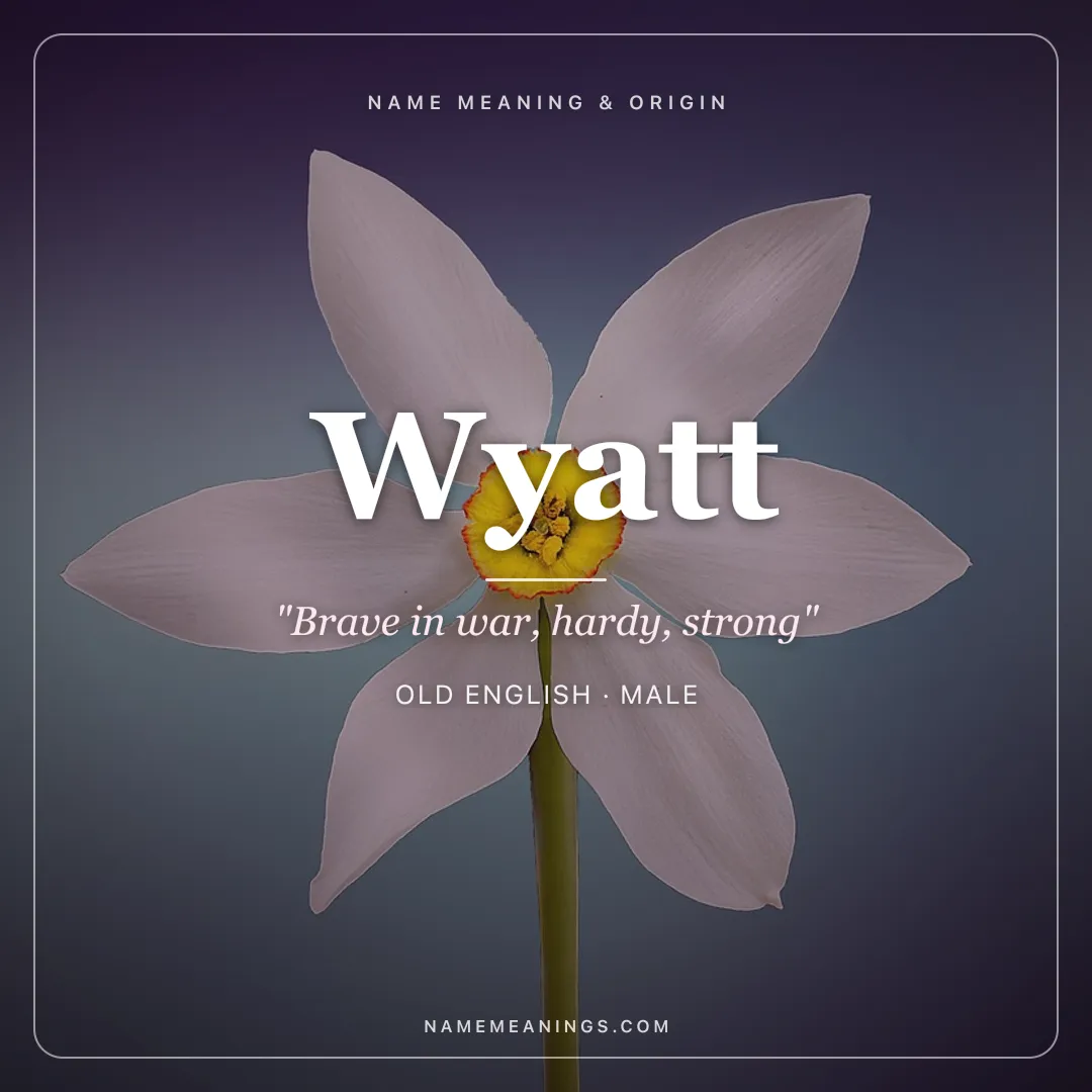Wyatt name meaning "Brave in war, hardy, strong" - Old English male name share card | NameMeanings
