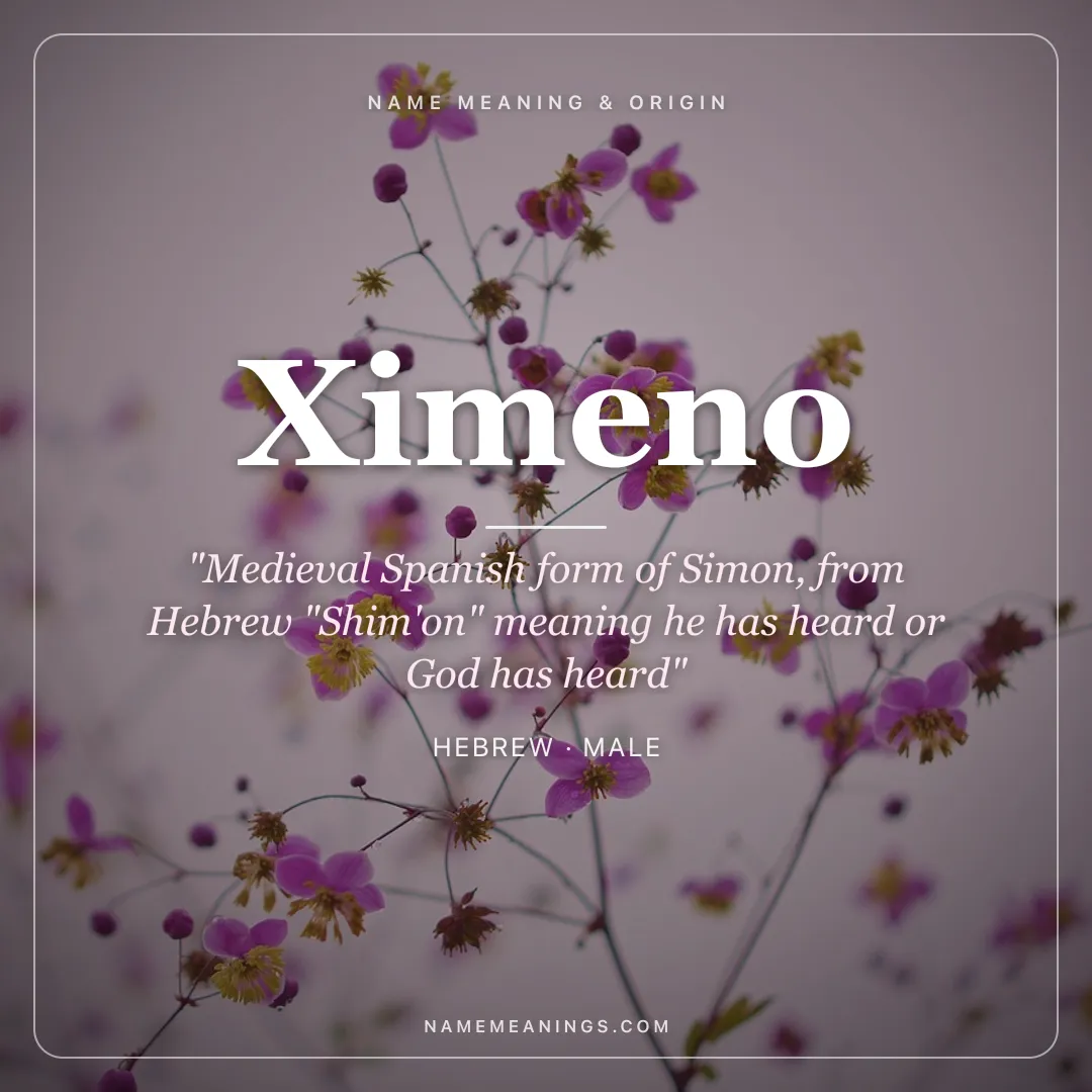 Ximeno name meaning "Medieval Spanish form of Simon, from Hebrew "Shim'on" meaning he has heard or God has heard" - Hebrew male name share card | NameMeanings
