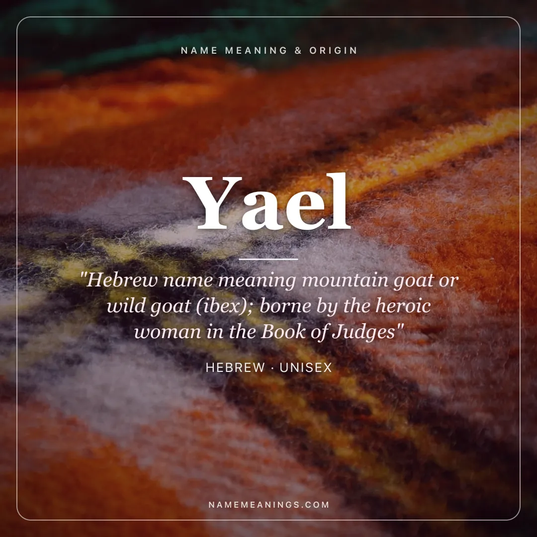 Yael name meaning "Hebrew name meaning mountain goat or wild goat (ibex); borne by the heroic woman in the Book of Judges" - Hebrew unisex name share card | NameMeanings