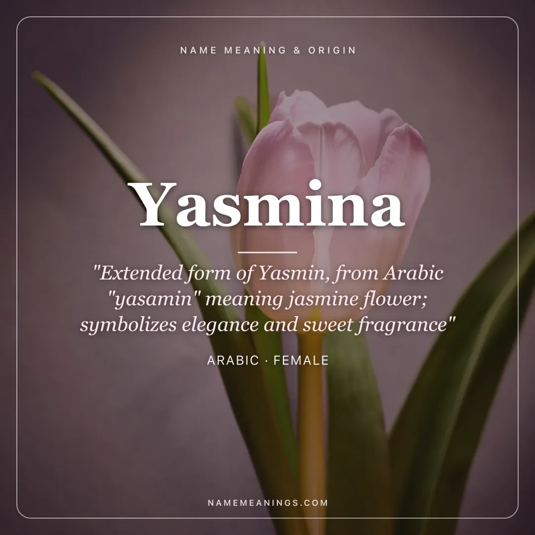 Yasmina name meaning "Extended form of Yasmin, from Arabic "yasamin" meaning jasmine flower; symbolizes elegance and sweet fragrance" - Arabic female name share card | NameMeanings