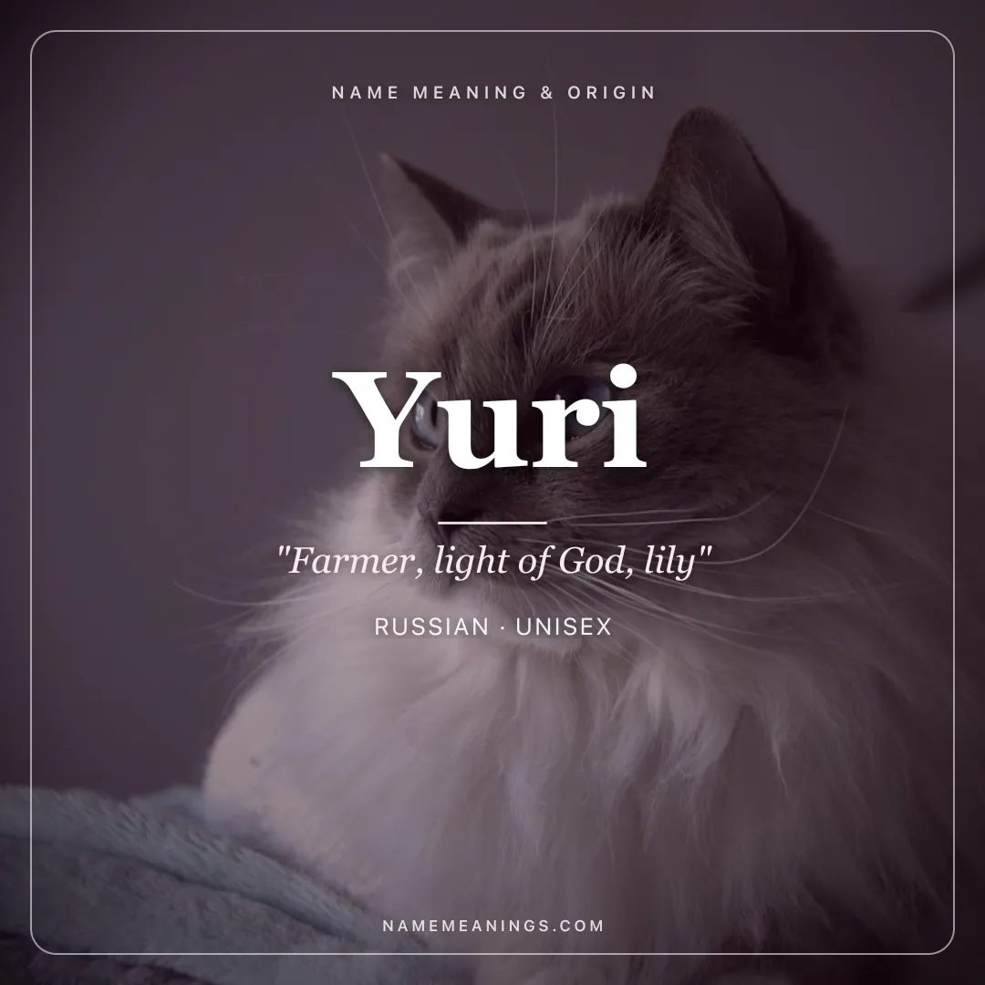 Yuri name meaning "Farmer, light of God, lily" - Russian, Japanese, Hebrew unisex name share card | NameMeanings
