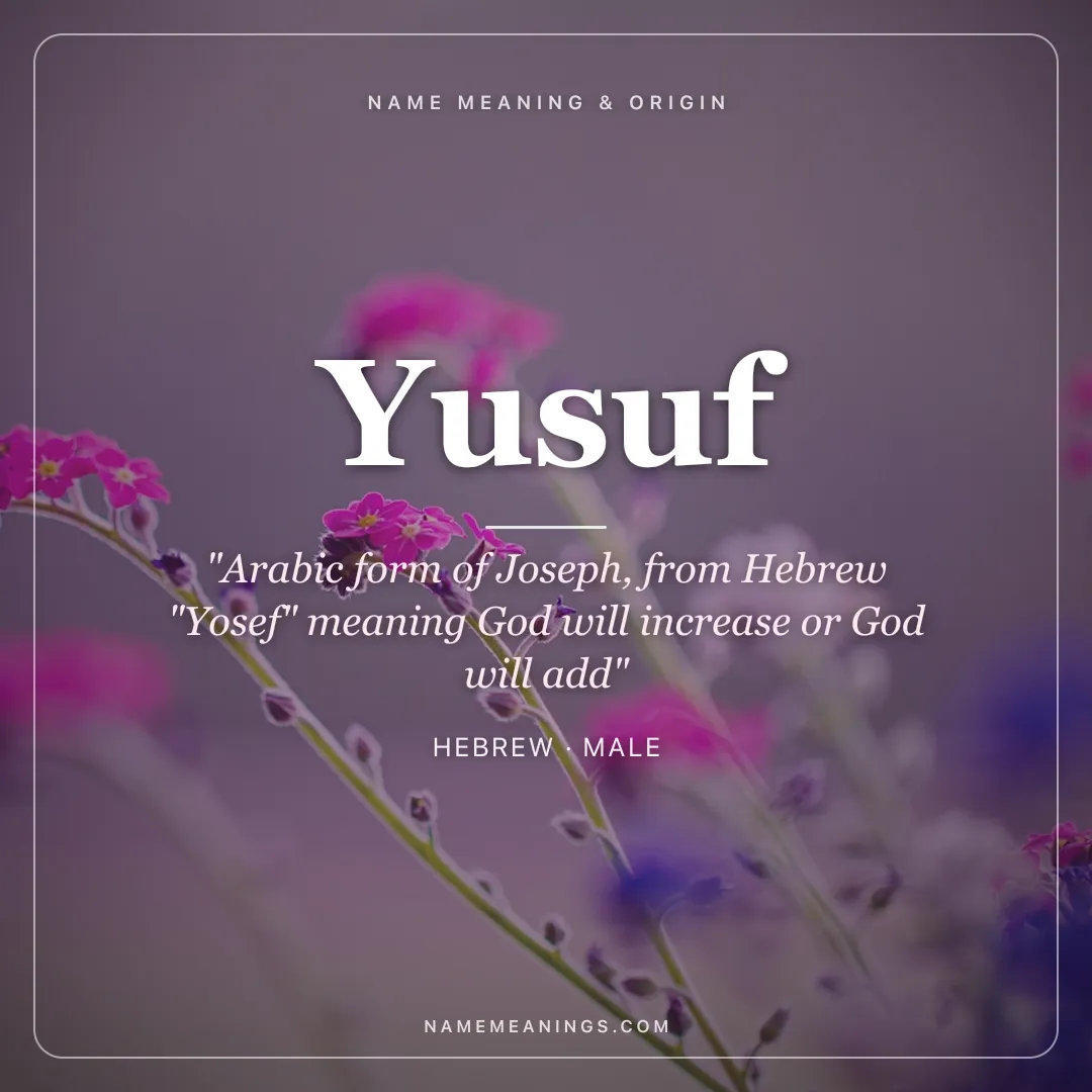 Yusuf name meaning "Arabic form of Joseph, from Hebrew "Yosef" meaning God will increase or God will add" - Hebrew male name share card | NameMeanings