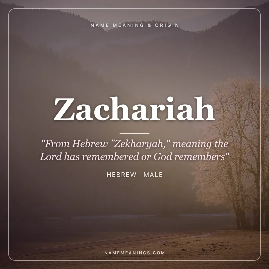 Zachariah name meaning "From Hebrew "Zekharyah," meaning the Lord has remembered or God remembers" - Hebrew male name share card | NameMeanings