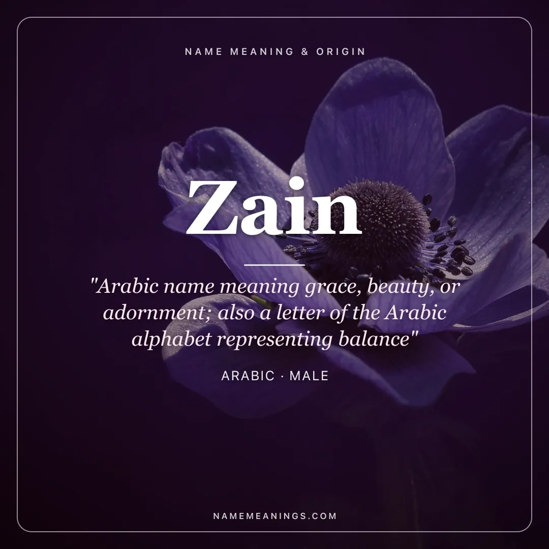 Zain name meaning "Arabic name meaning grace, beauty, or adornment; also a letter of the Arabic alphabet representing balance" - Arabic male name share card | NameMeanings