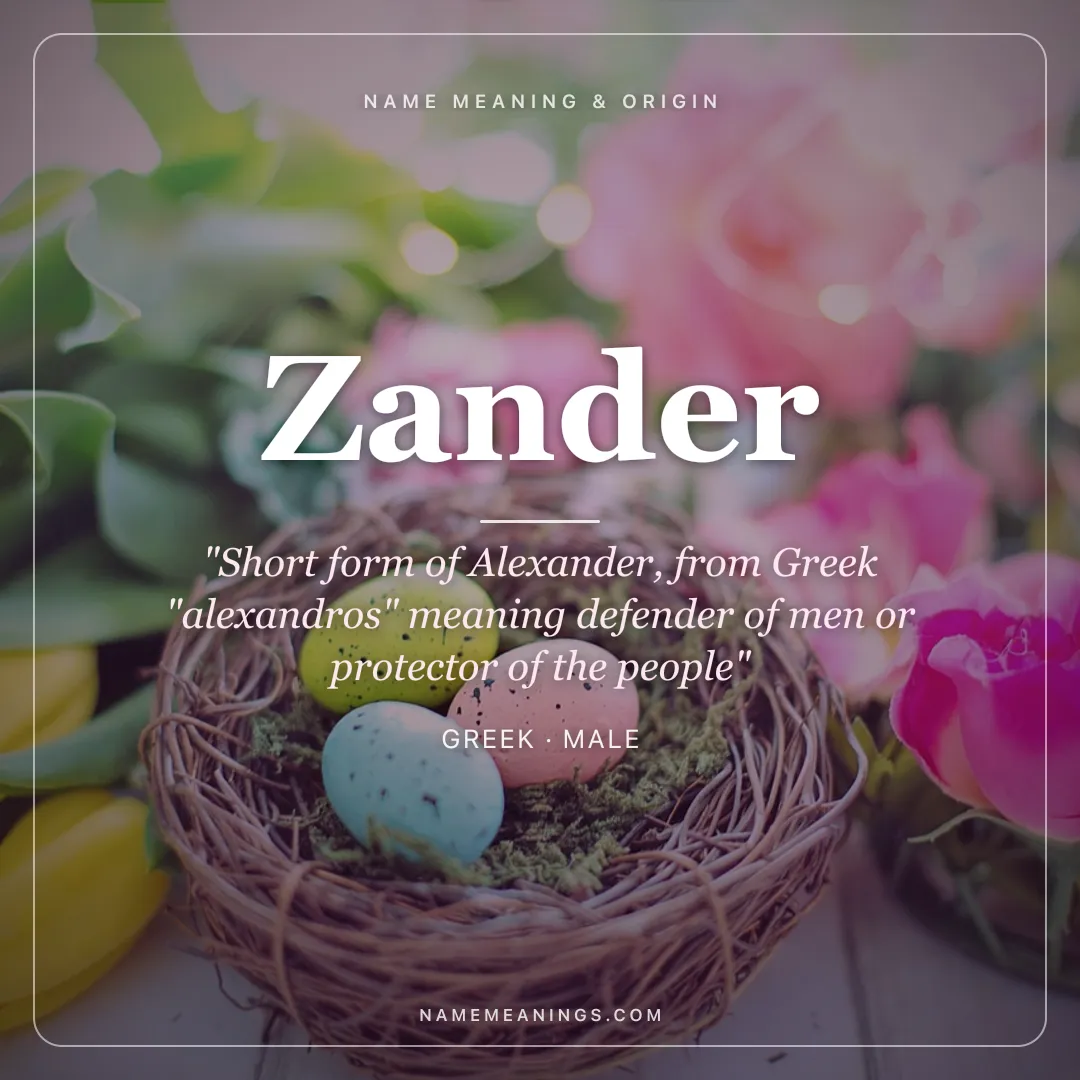 Zander name meaning "Short form of Alexander, from Greek "alexandros" meaning defender of men or protector of the people" - Greek male name share card | NameMeanings
