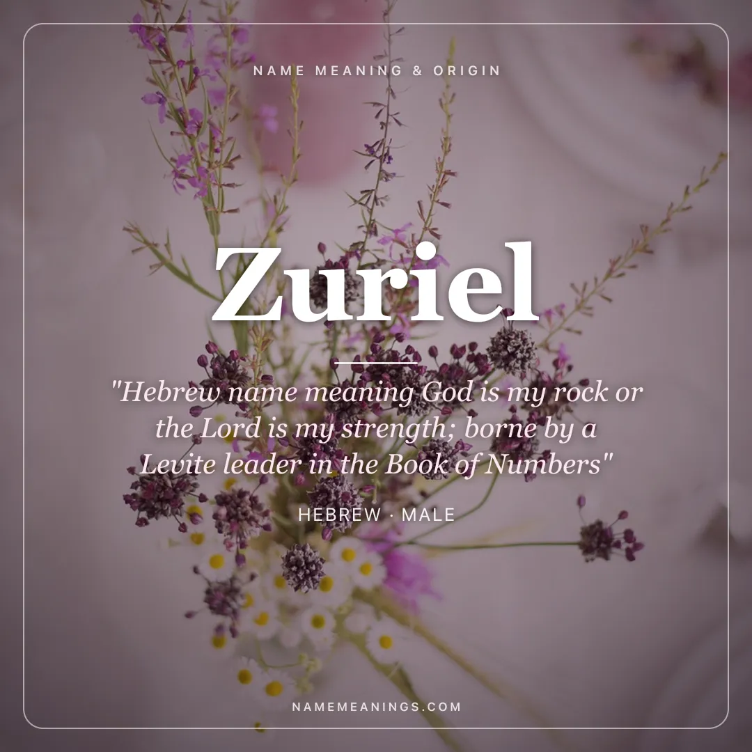 Zuriel name meaning "Hebrew name meaning God is my rock or the Lord is my strength; borne by a Levite leader in the Book of Numbers" - Hebrew male name share card | NameMeanings