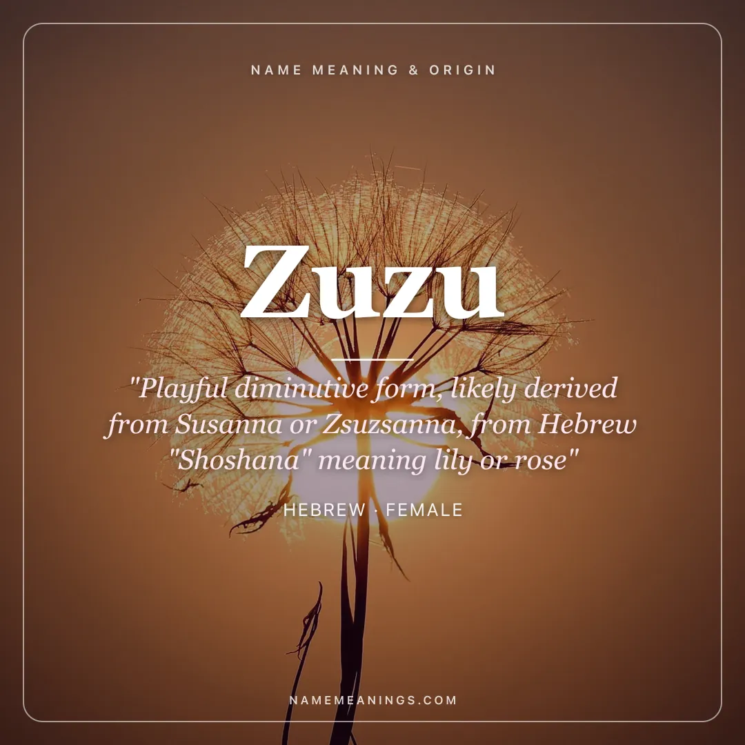 Zuzu name meaning "Playful diminutive form, likely derived from Susanna or Zsuzsanna, from Hebrew "Shoshana" meaning lily or rose" - Hebrew female name share card | NameMeanings
